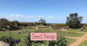 Sunken Garden Seed Swap Community Gardening February 2025