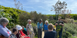 Sunken Garden Society gardeners planting